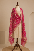 Rani Pink Pure Mysore Georgette Banarasi Bandhej Dupatta with Mirror Accents | 2507243